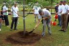 Clean and Green SG50 Carnival and Tree Planting-31stOct2015