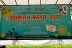 DurianRaya-23Jul-087
