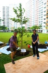 TreePlanting-12Nov17-08