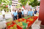 Elias View Fruits Party & National Day Celebrations-27thJul2019