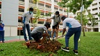 Tree Planting Day @ Pasir Ris West-6thNov2021