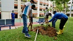 TreePlanting-6thNov-PRW - 28