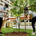 TreePlanting-6thNov-PRW - 23