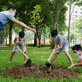 TreePlanting-6thNov-PRW - 5