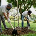 TreePlanting-6thNov-PRW - 4